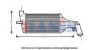 OPEL 09129519 Intercooler, charger